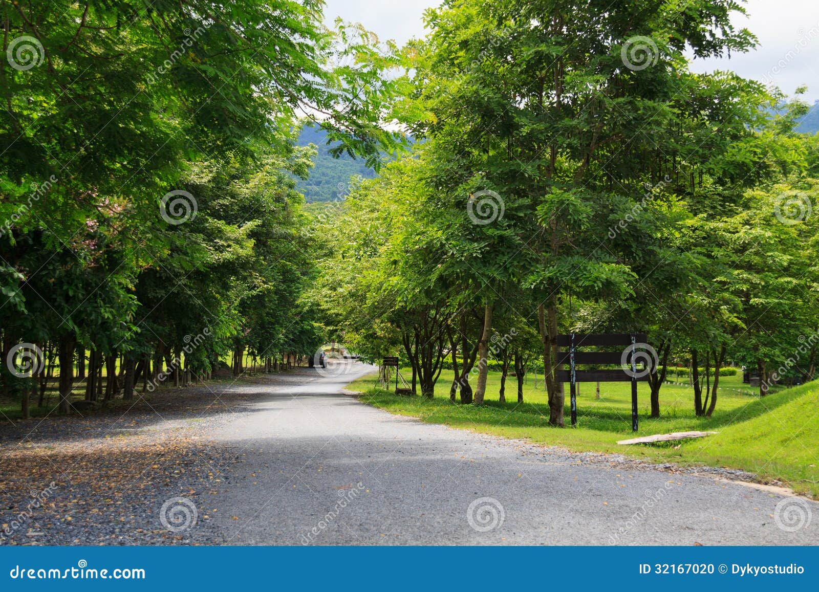 road in jedkod pongkonsao natural study and ecotourism center, s