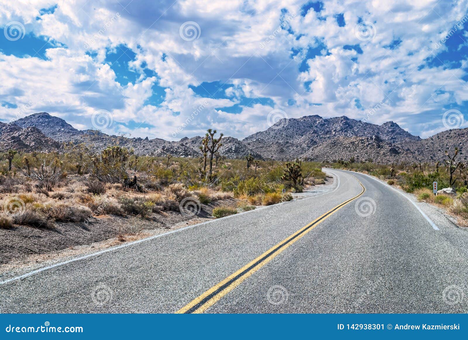 The Road Through Joshua Stock Image Image Of Vacation 142938301