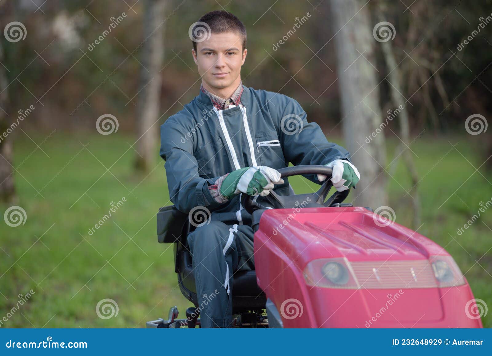 Road Landscaper Cutting Grass Stock Image Image of trimming