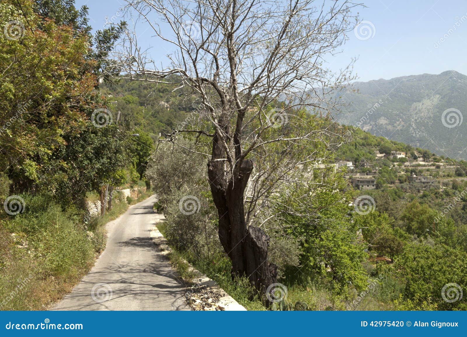 Lebanon Road Block Of The Lebanese Army Forces In Beirut Next T