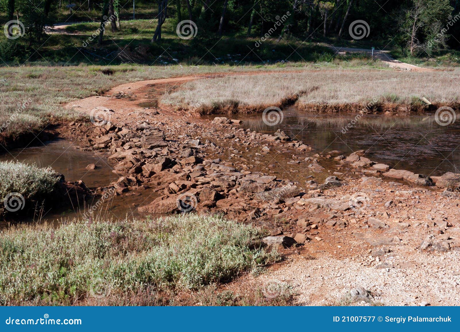 Road through the march stock image. Image of permeable 21007577