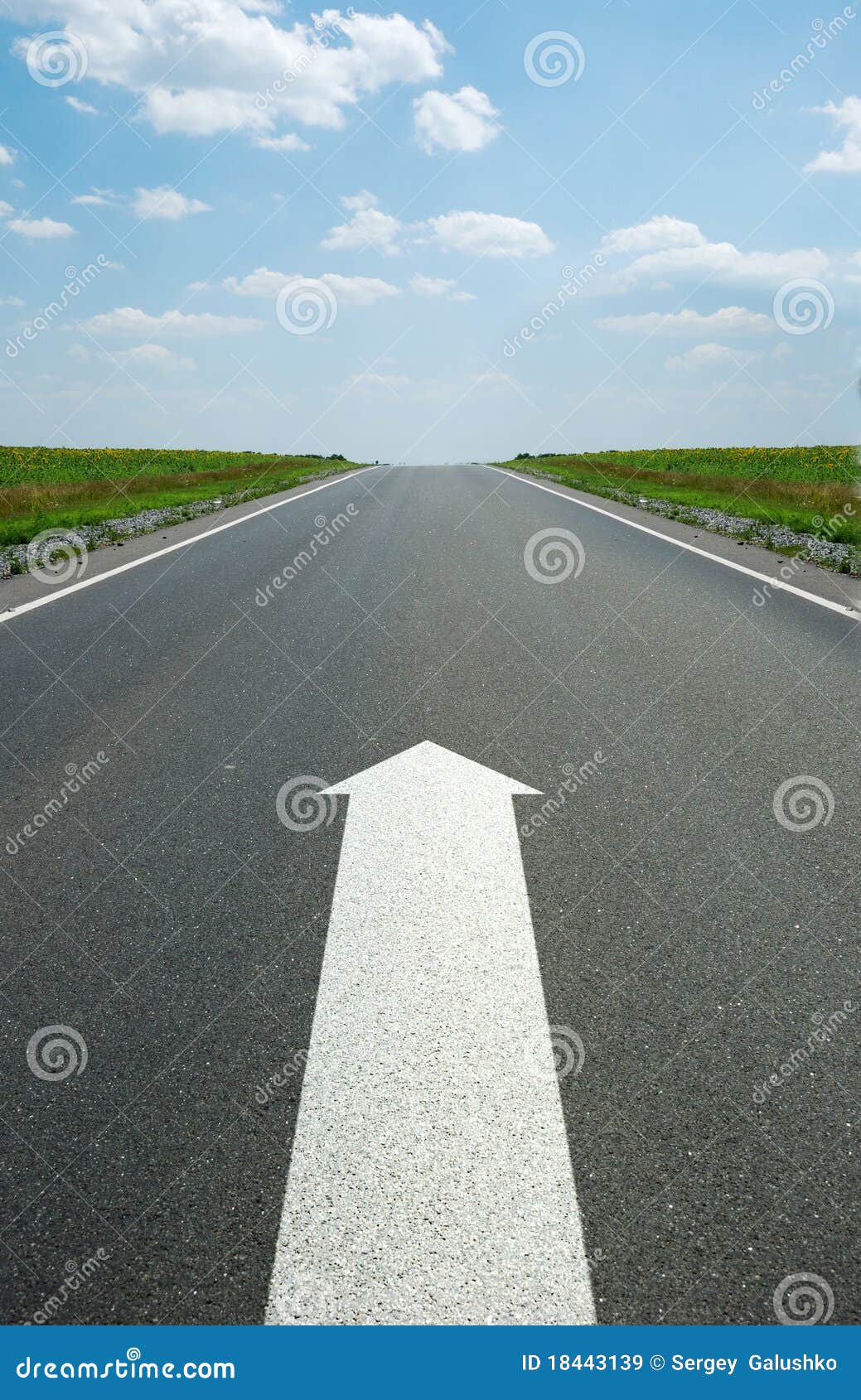 road marking arrow