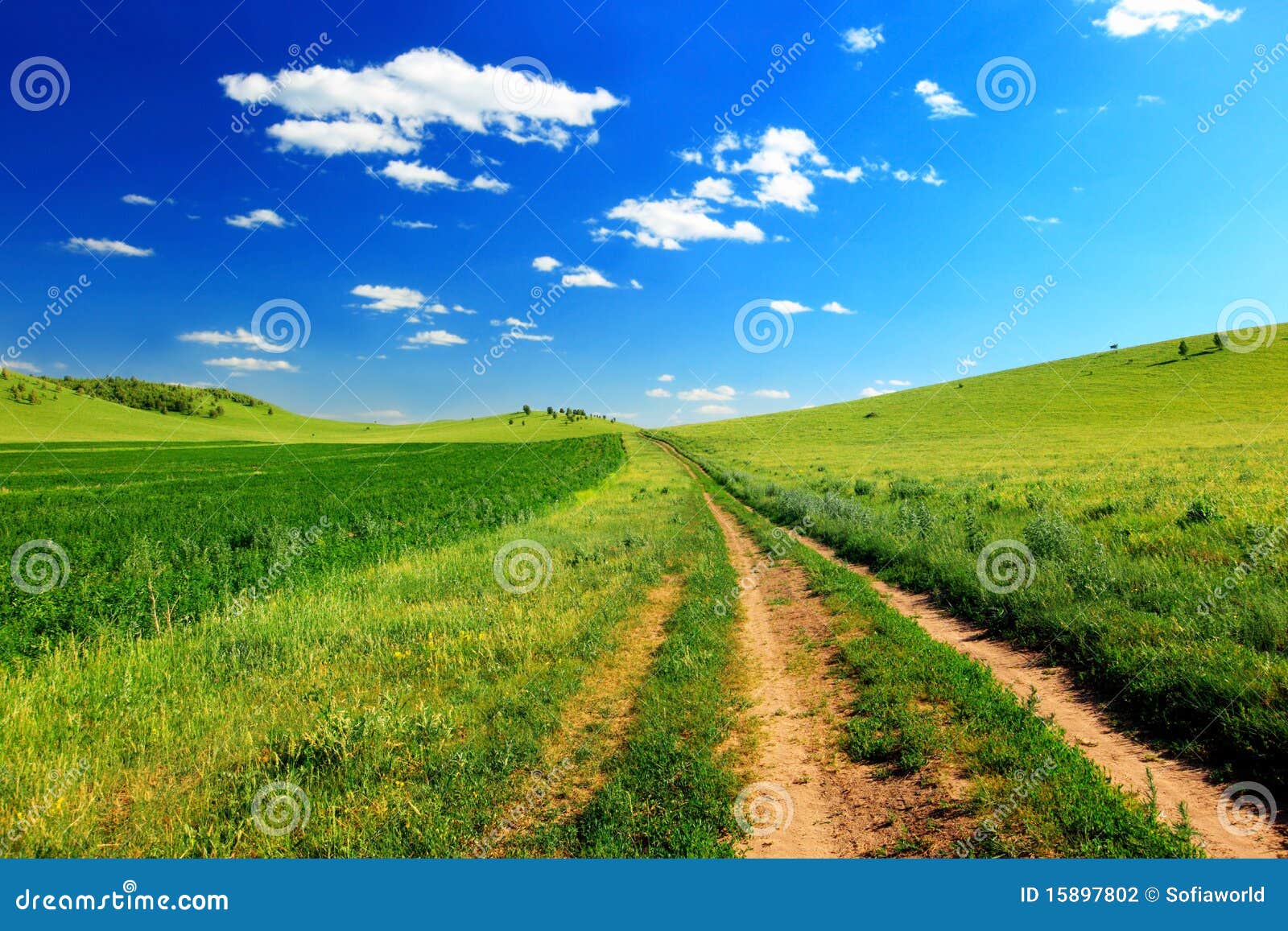 Road in meadow stock photo. Image of roadway, adventure 15897802