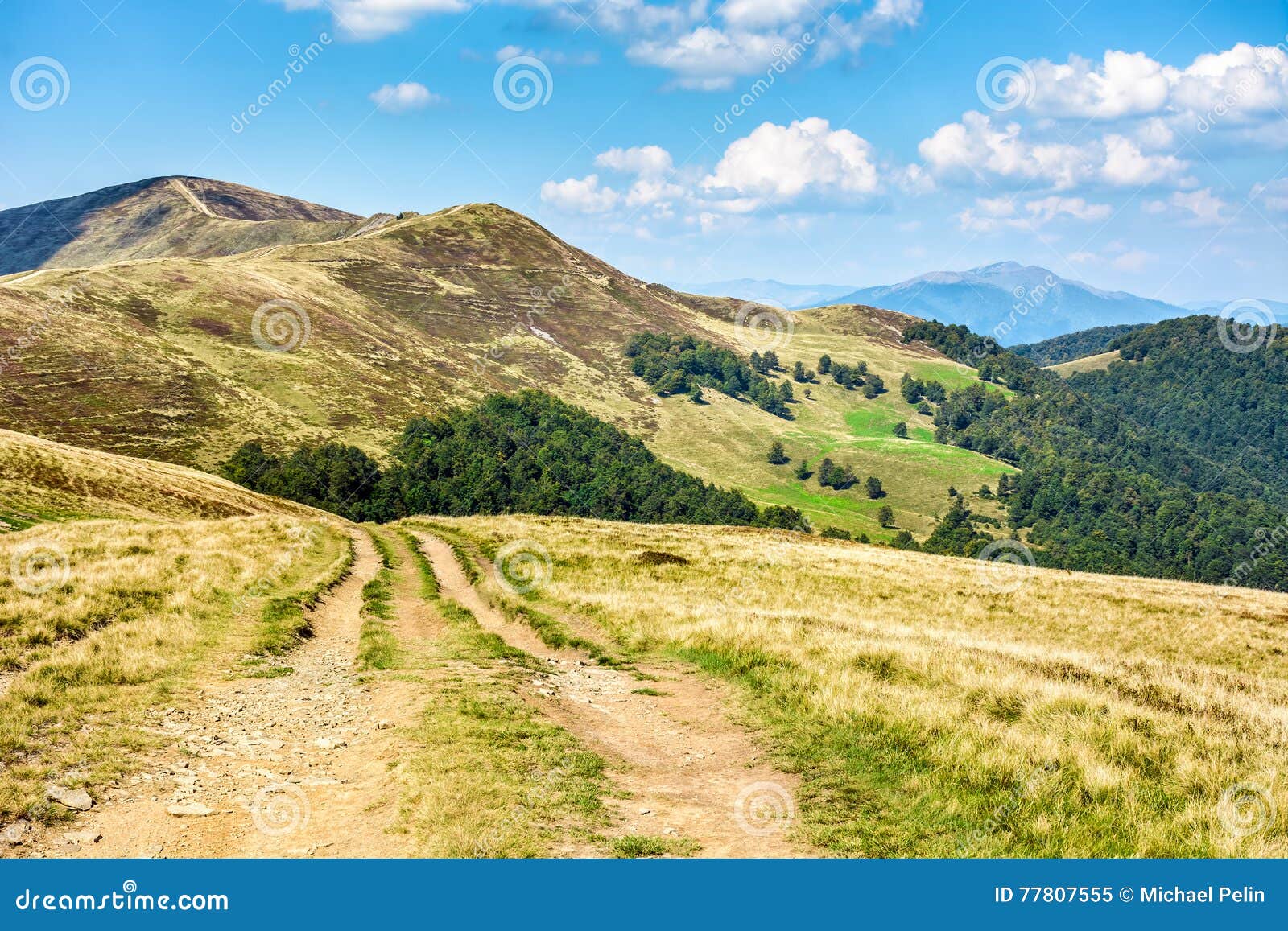 Road through a Meadow on Hillside Stock Image Image of grass, road