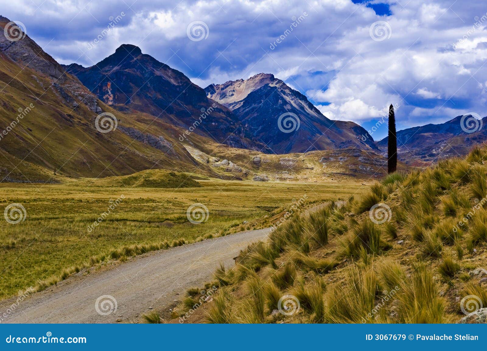 road in mountainous landscape