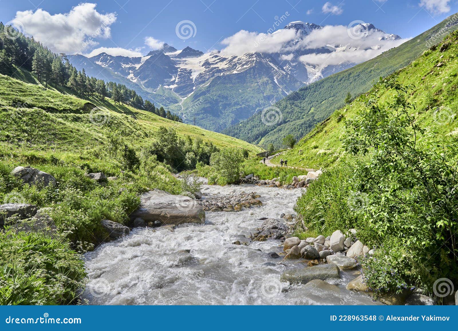 Road In The Mountains Between Green Alpine Meadows And A Mountain River