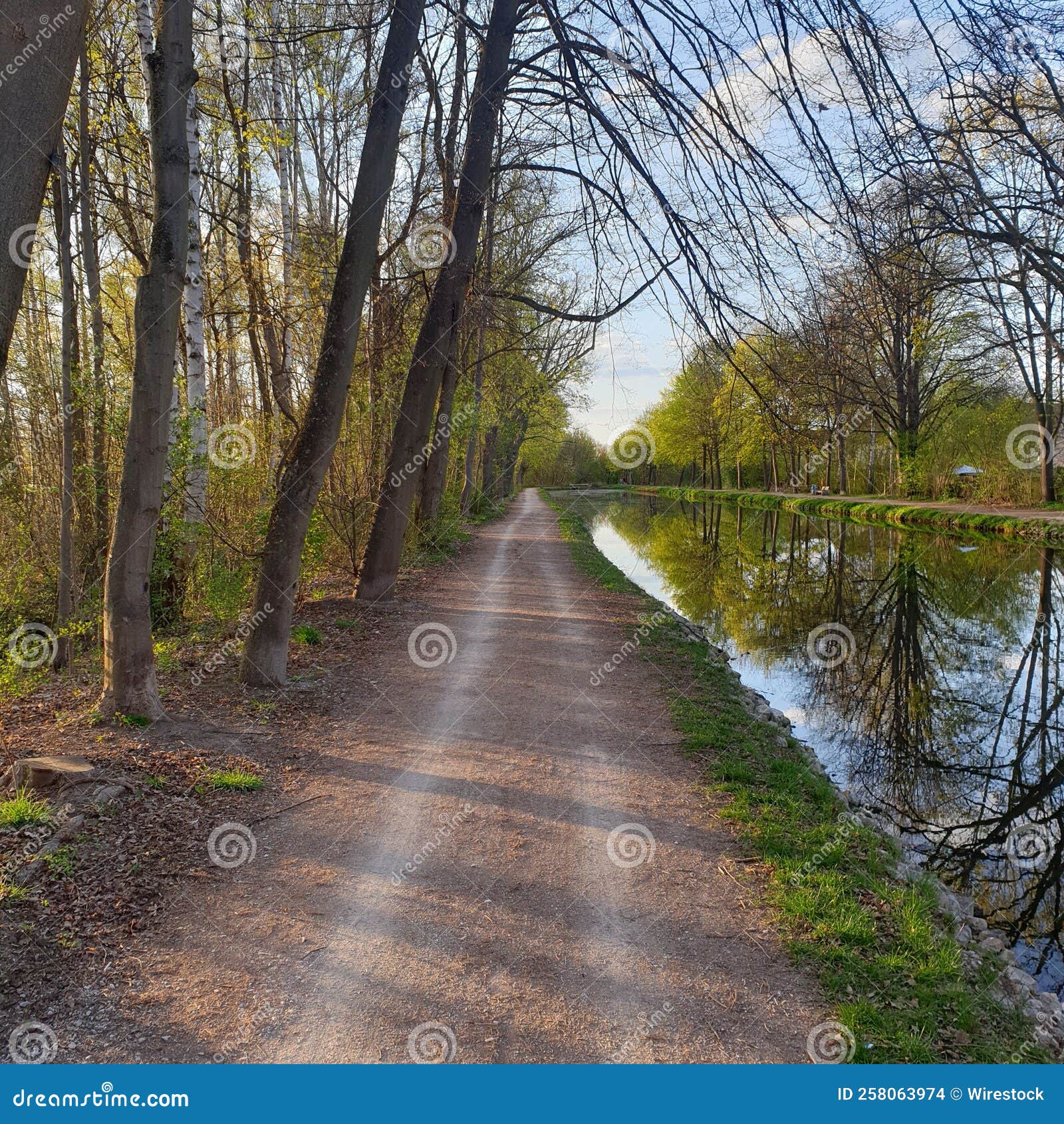 Road Near a Pond in a Park Surrounded by Bare Trees Stock Photo Image