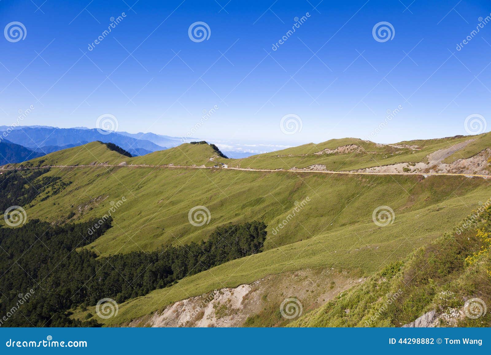 the road pass through the hehuanshan forest recreation area