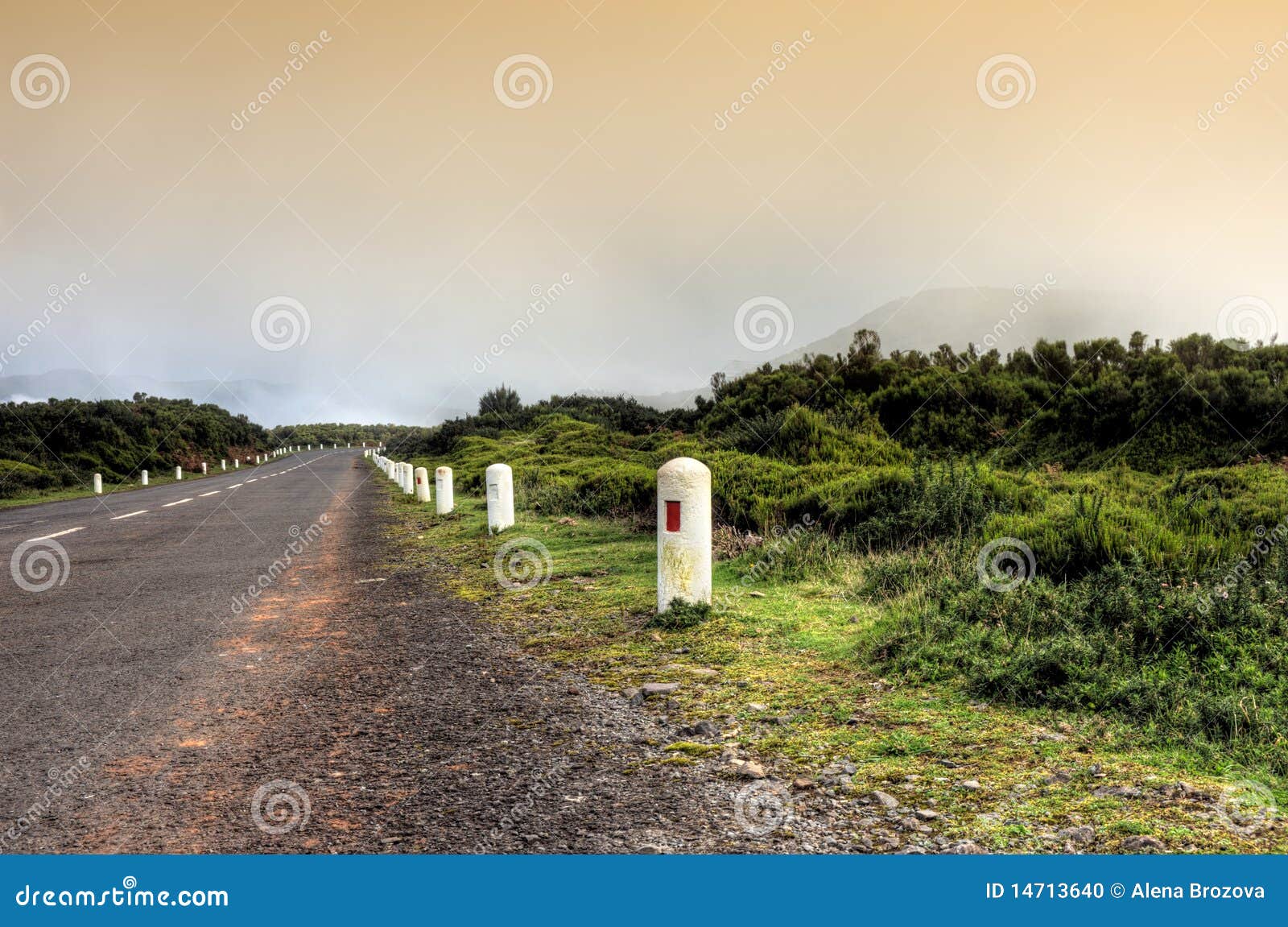 road in plateau of parque natural de madeira