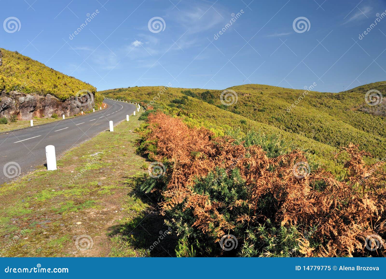 road in plateau of parque natural de madeira, made
