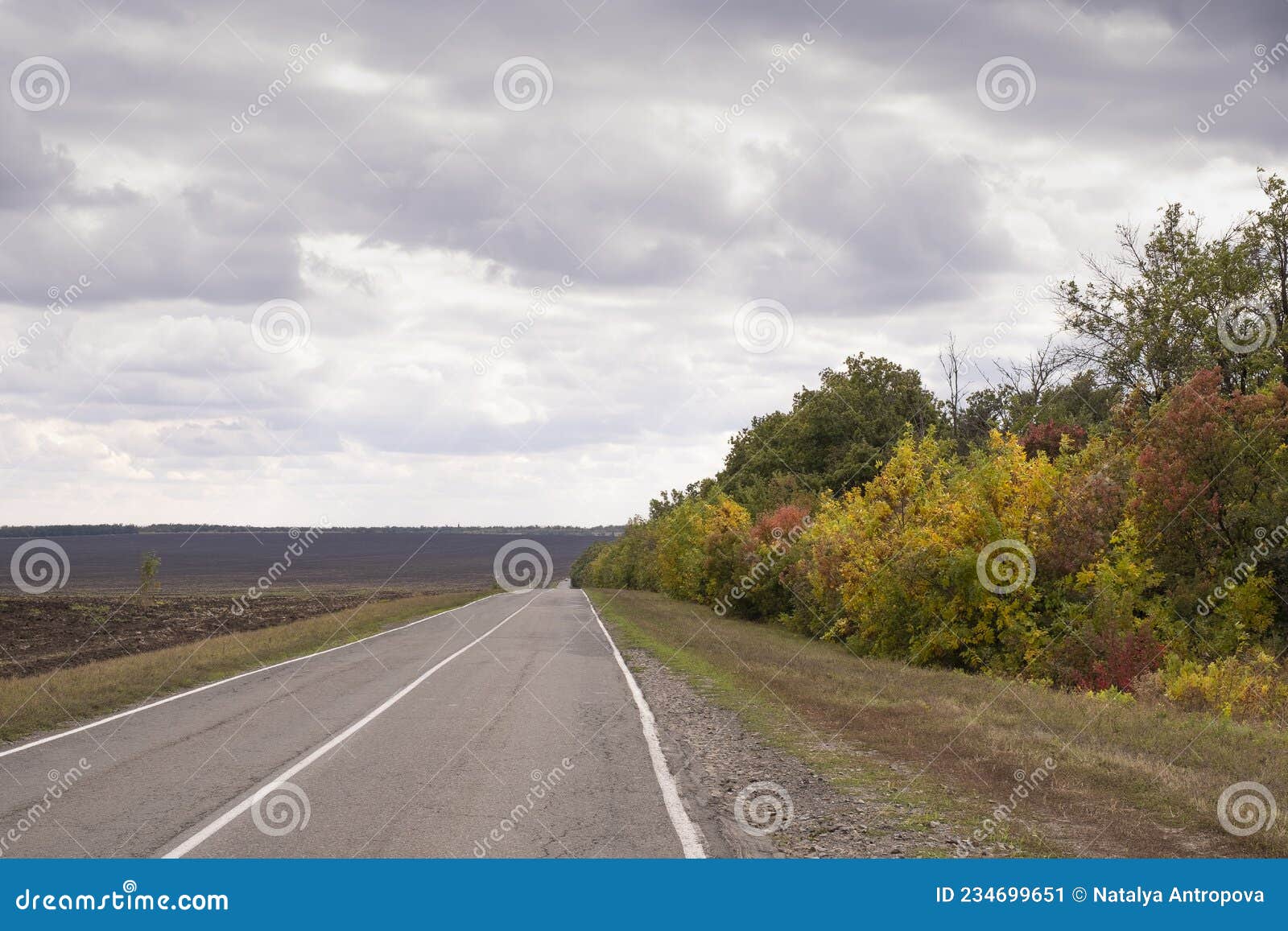 A Road among Plowed Fields and Forests, Autumn Time Stock Image Image