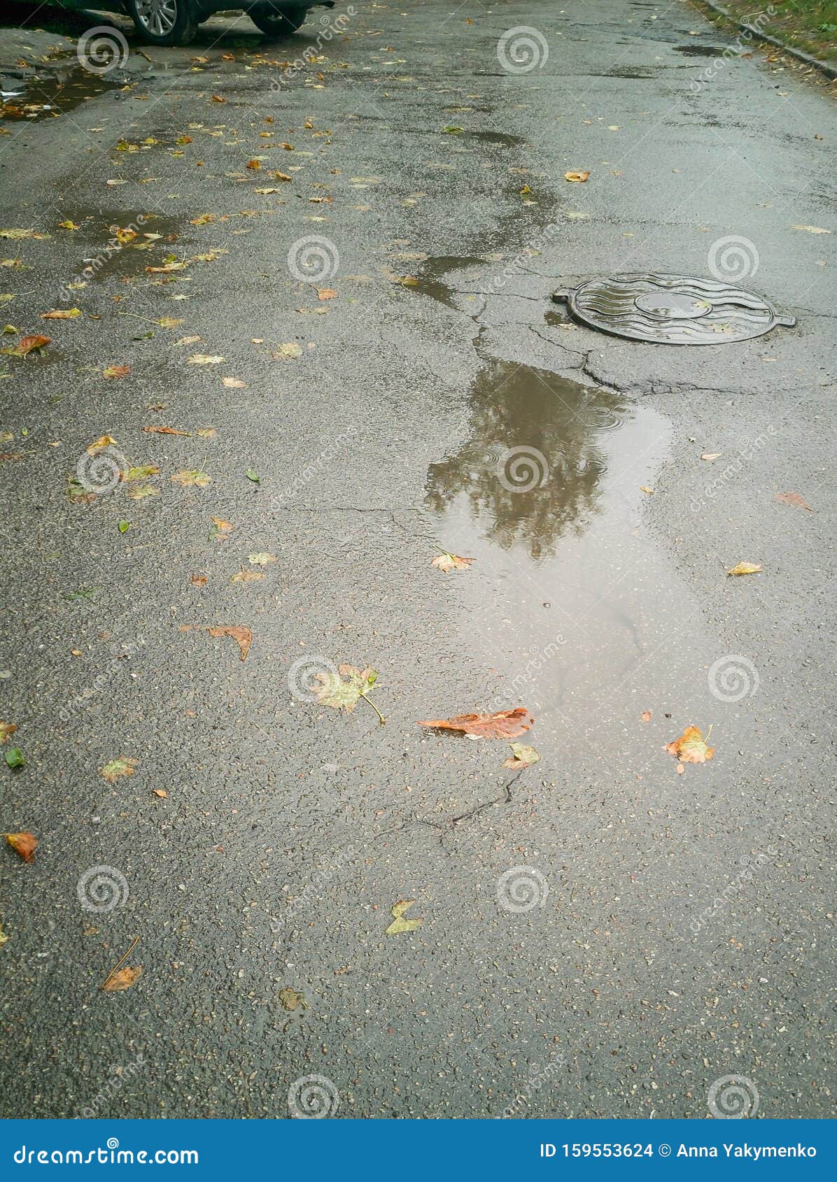road after rain, puddle with reflection of a tree, leaves on wet asphalt, autumn background