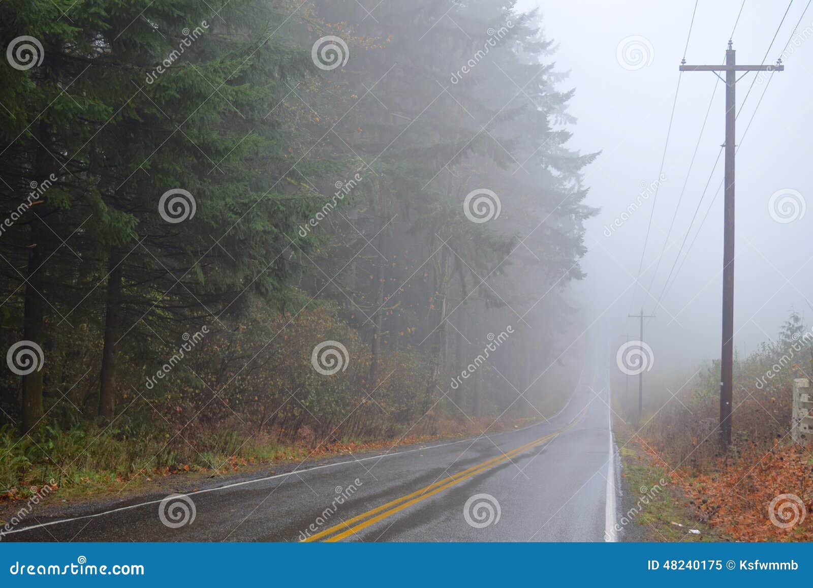 road receding into fog