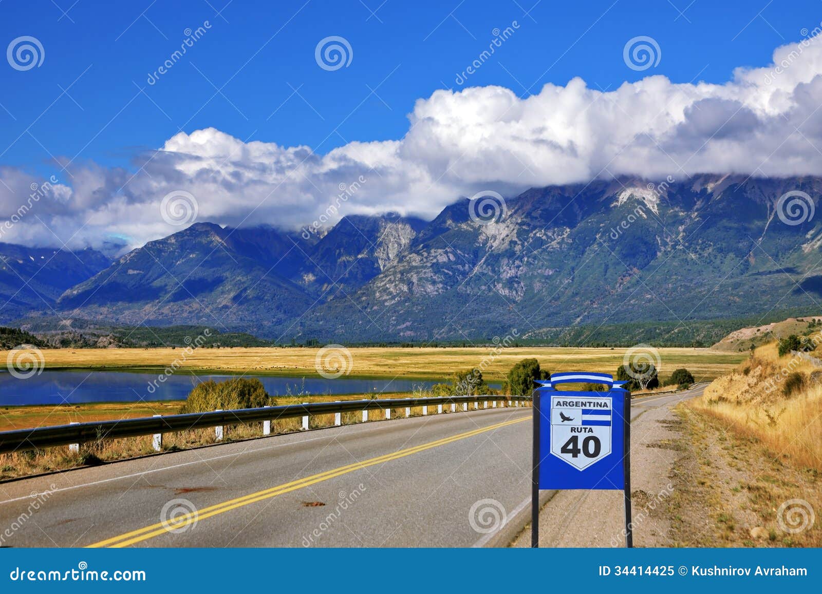 the road ruta 40 is laid parallel to the andes