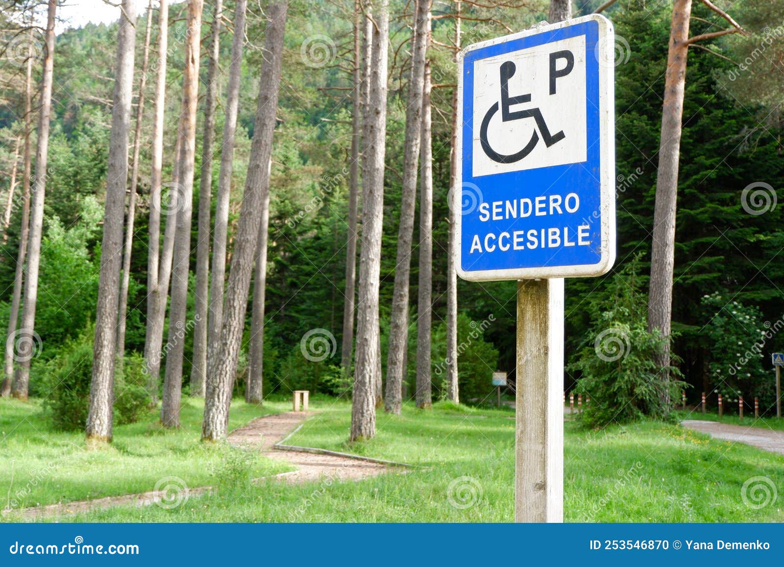 Road Sign for Accessible Parking in the Forest Outside in Bielsa