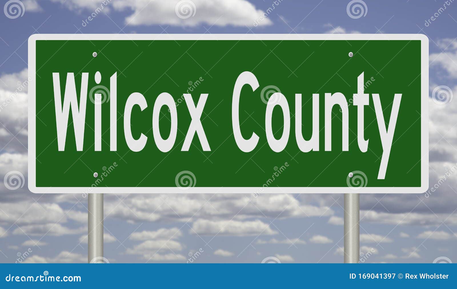 Road Sign for Wilcox County Stock Illustration Illustration of