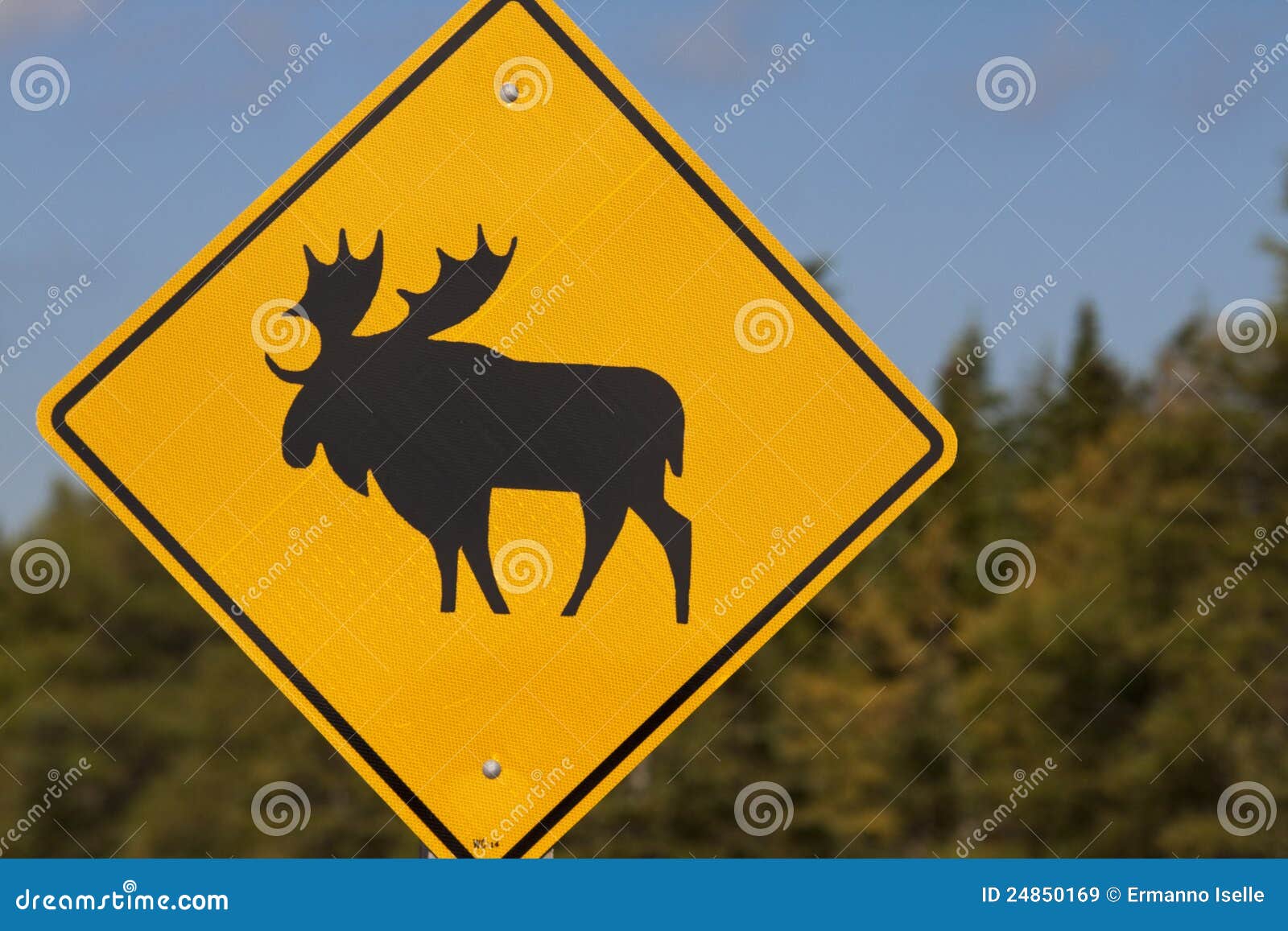 Road signal of nova scotia stock image. Image of yellow 24850169