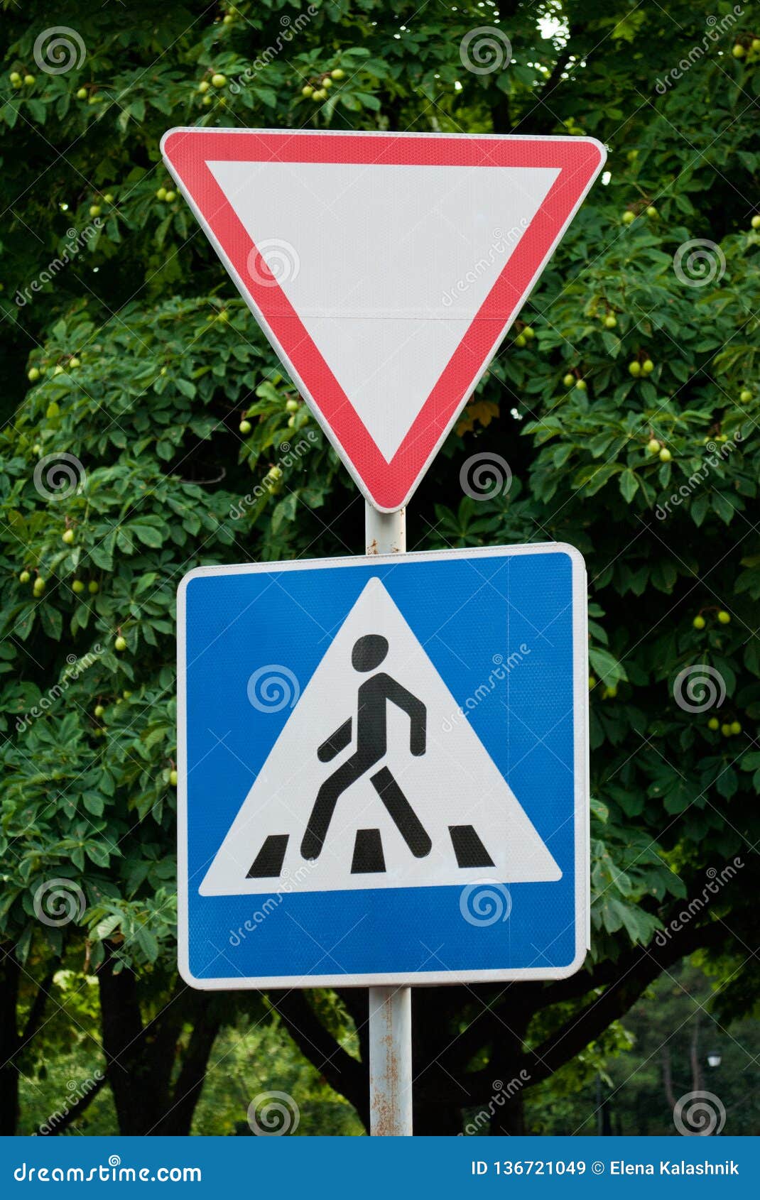 Pedestrian crossing give way rules