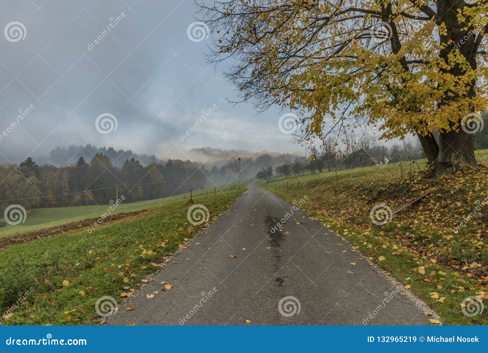 road from stary hrozenkov to zitkova in fog autumn color morning