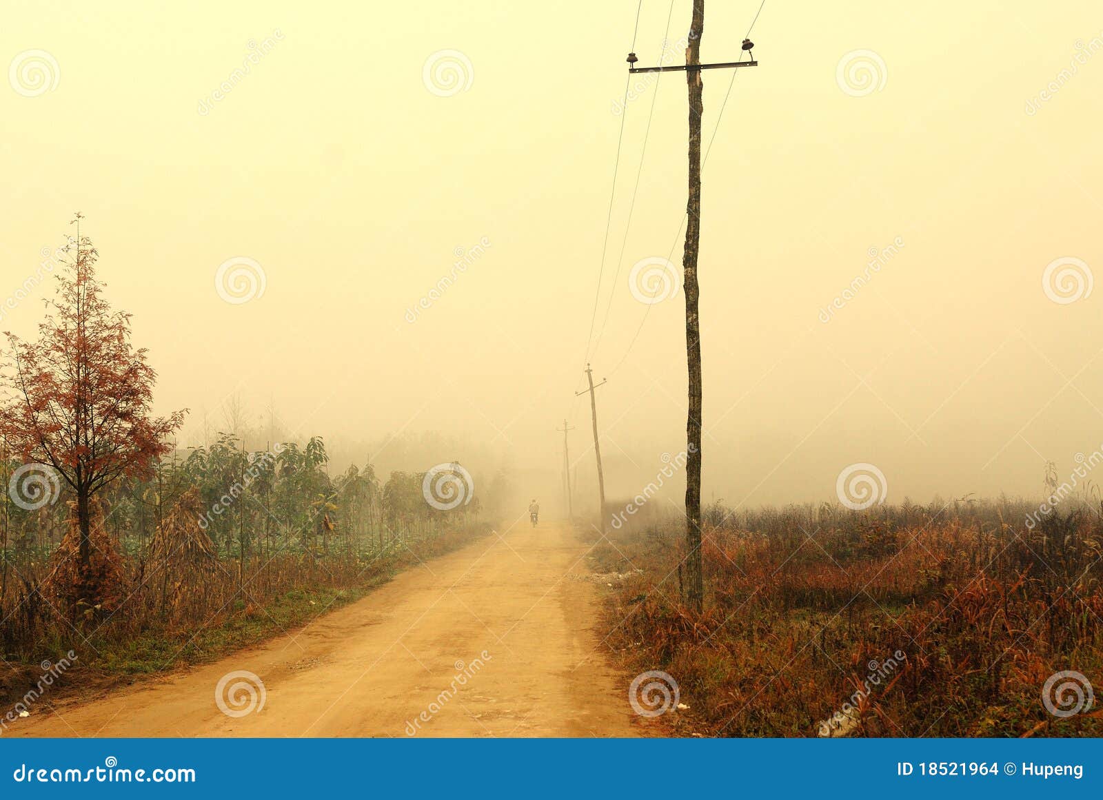road and telegraph pole
