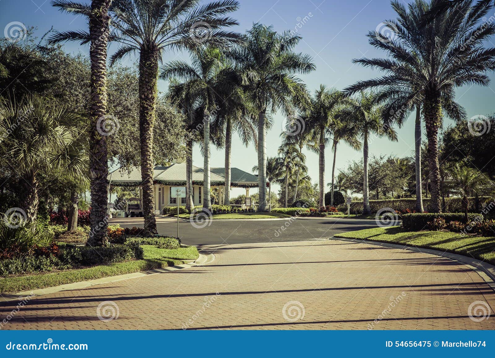 Road To Gated Community in Florida Stock Image Image of gated, closed