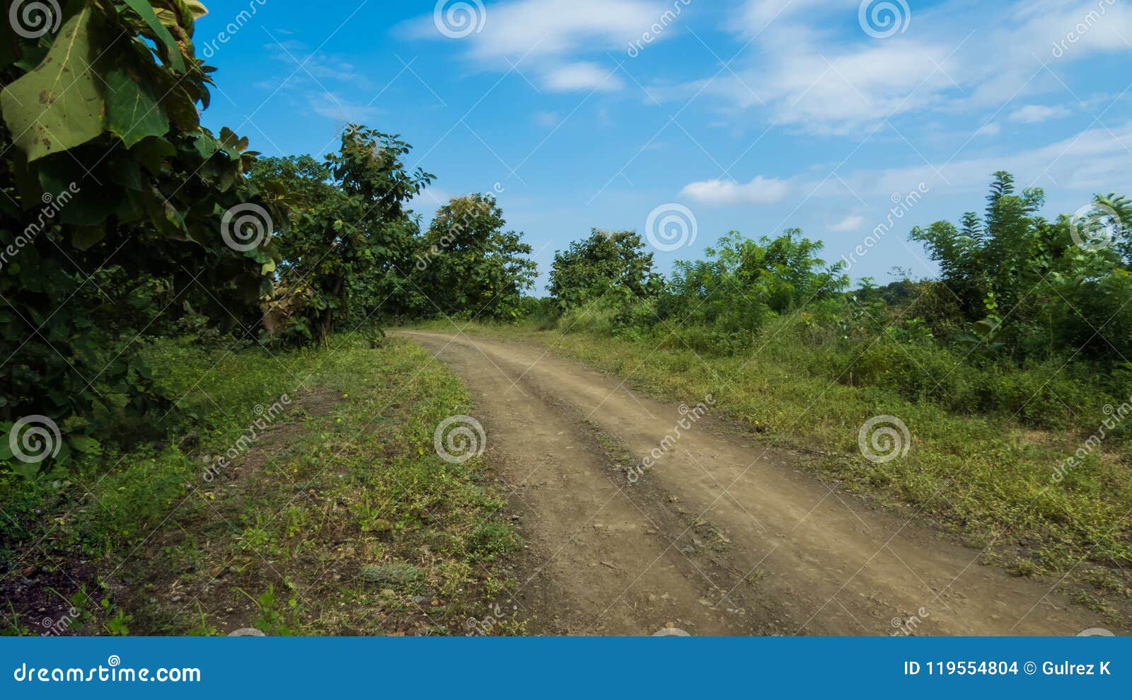 road to the jungle with greenery and blue sky
