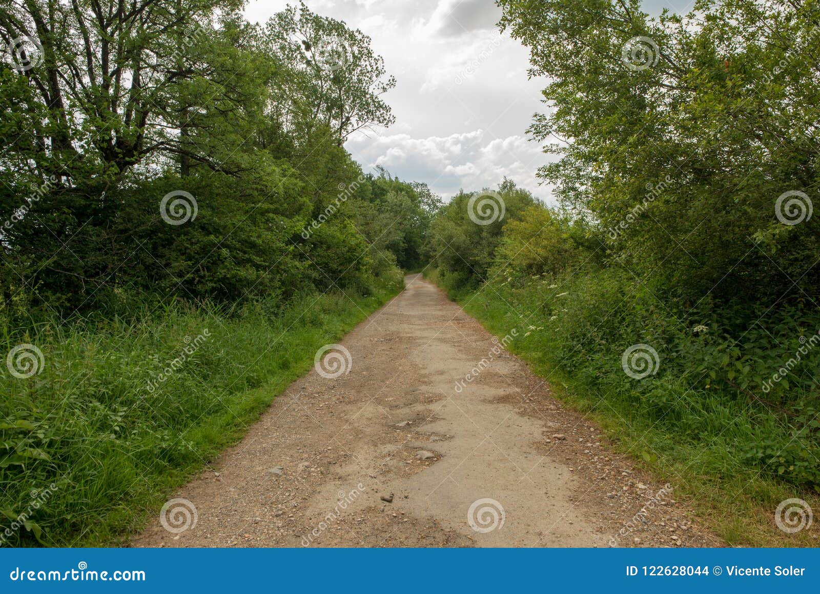 the road to santiago as it passes through burguete