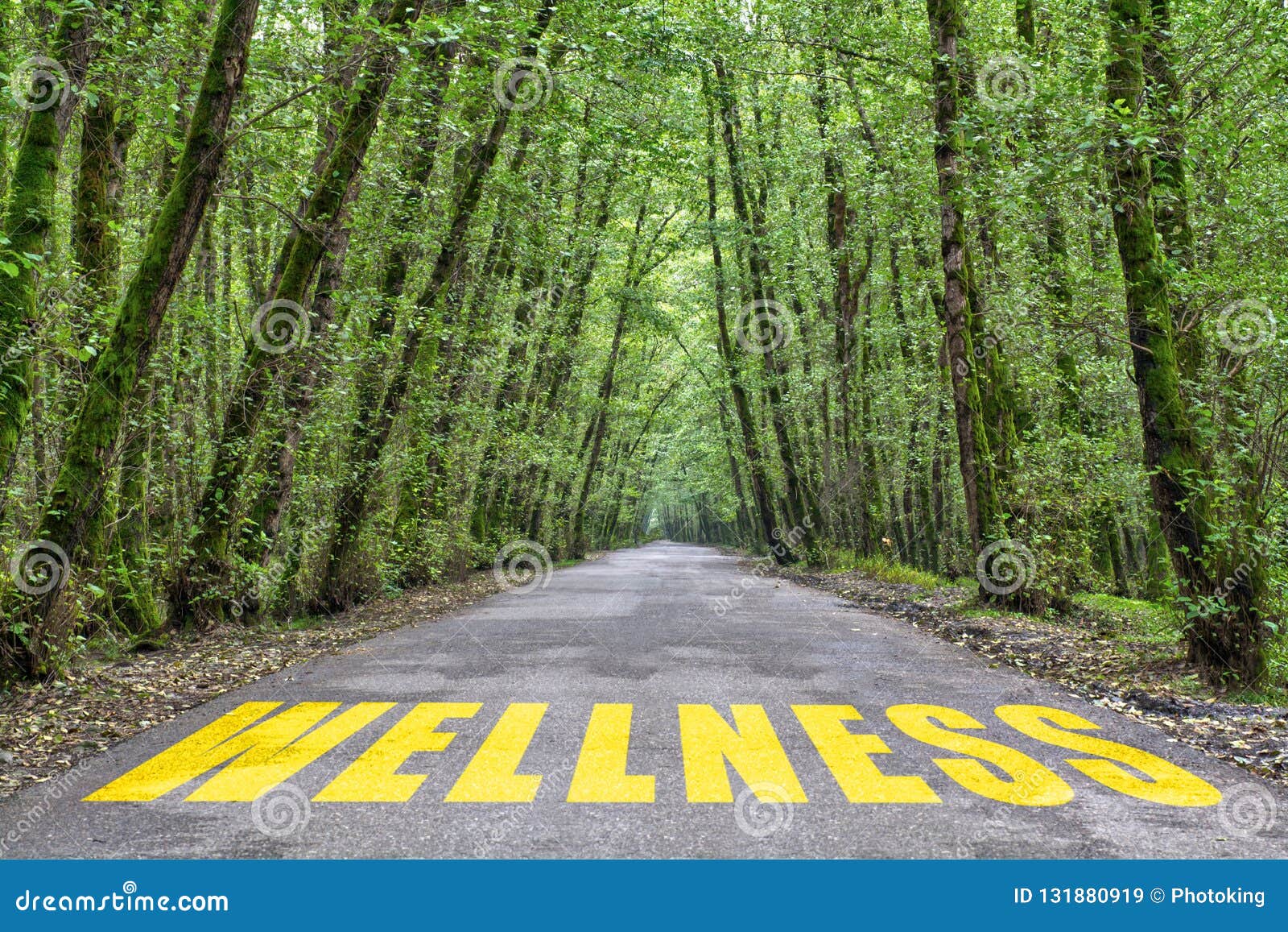 road to wellness