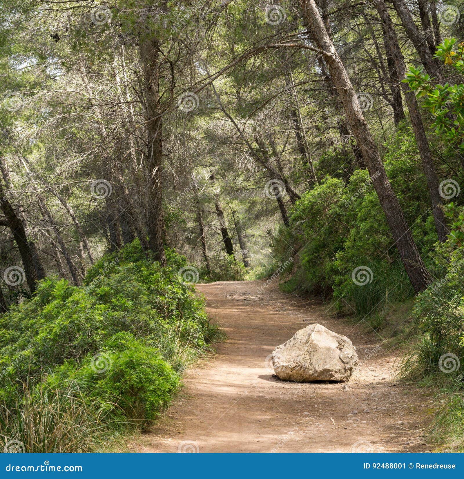 road or trail blocked by big rock. overcome an obstacle.