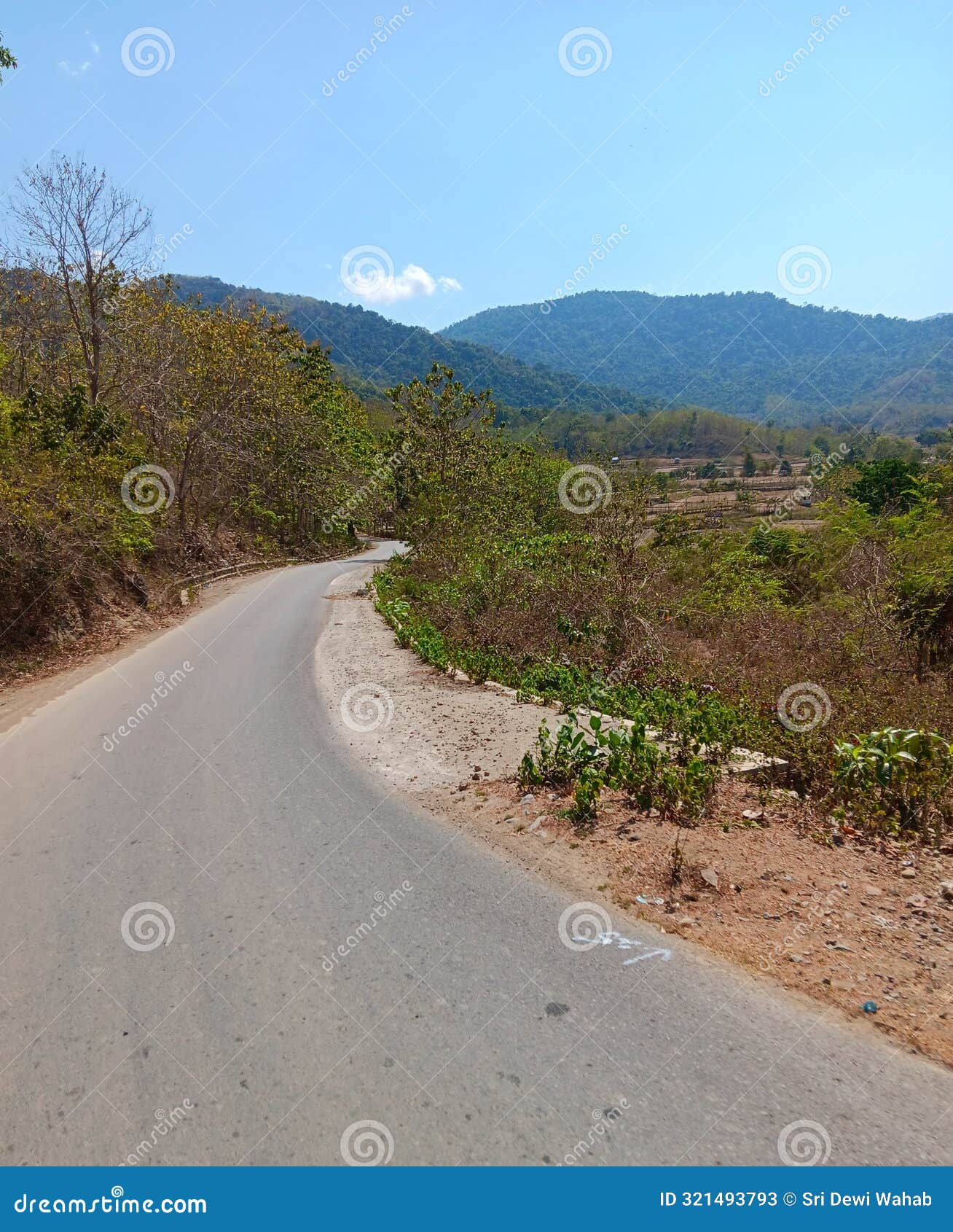 road, trees, blue mountain sky as backgraund
