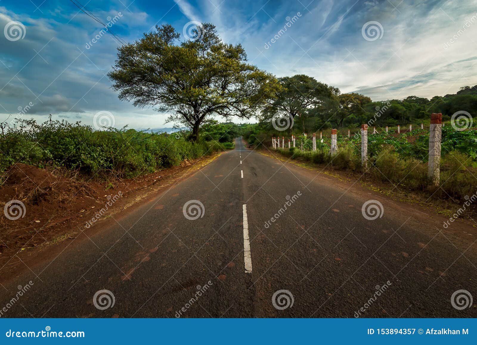 Road With Trees At Both Side Coimbatore Tamil Nadu India Stock Image