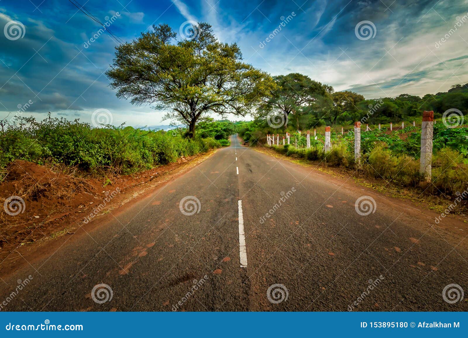 road with trees at both side- coimbatore tamil nadu india