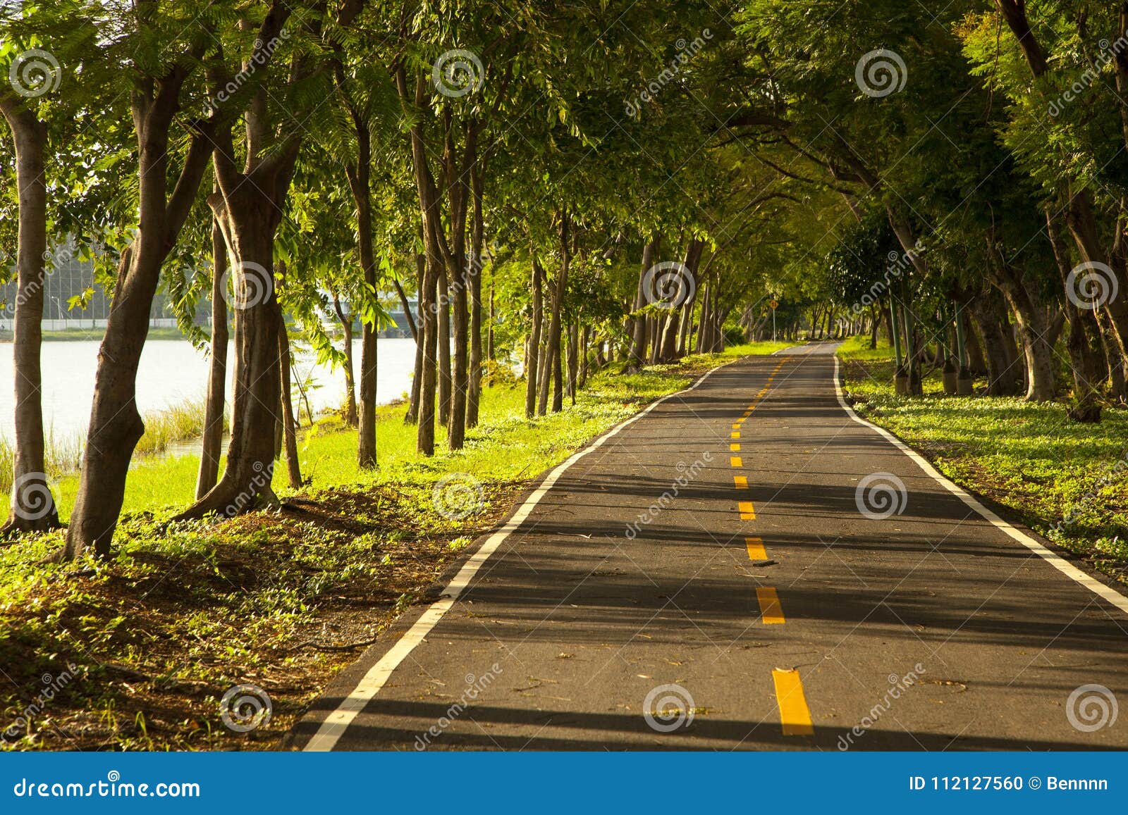 Road With Trees On Both Sides Stock Photo Image Of Curve Concept