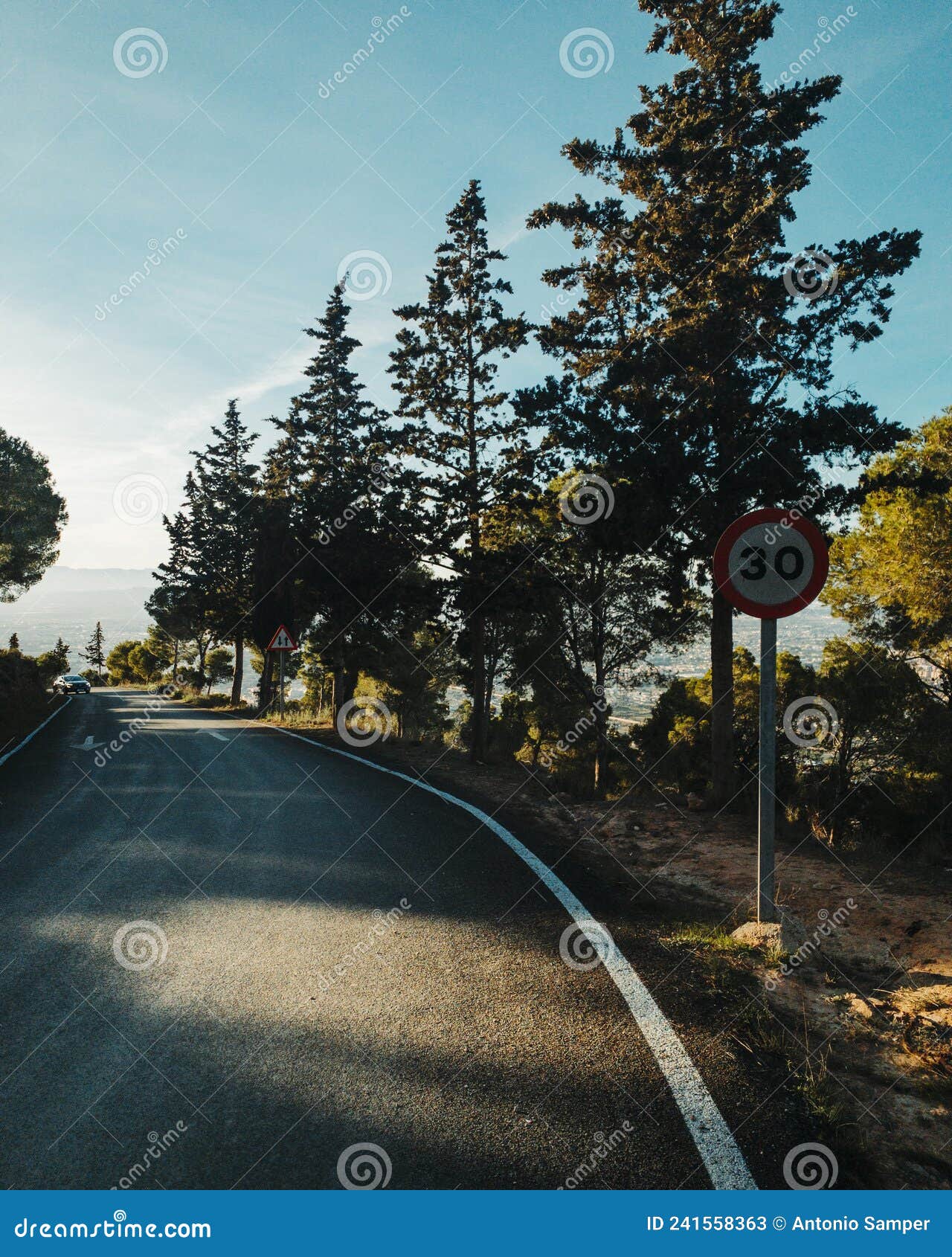 road and trees