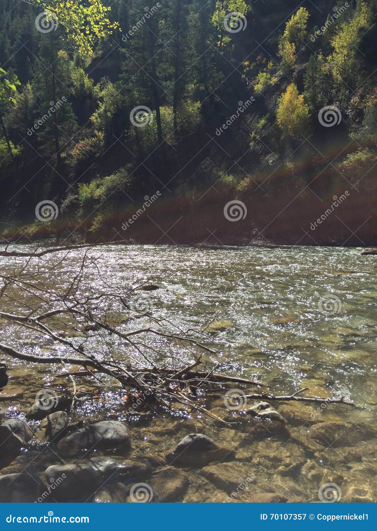 Road tripping stock image. Image of watercourse, tripping 70107357