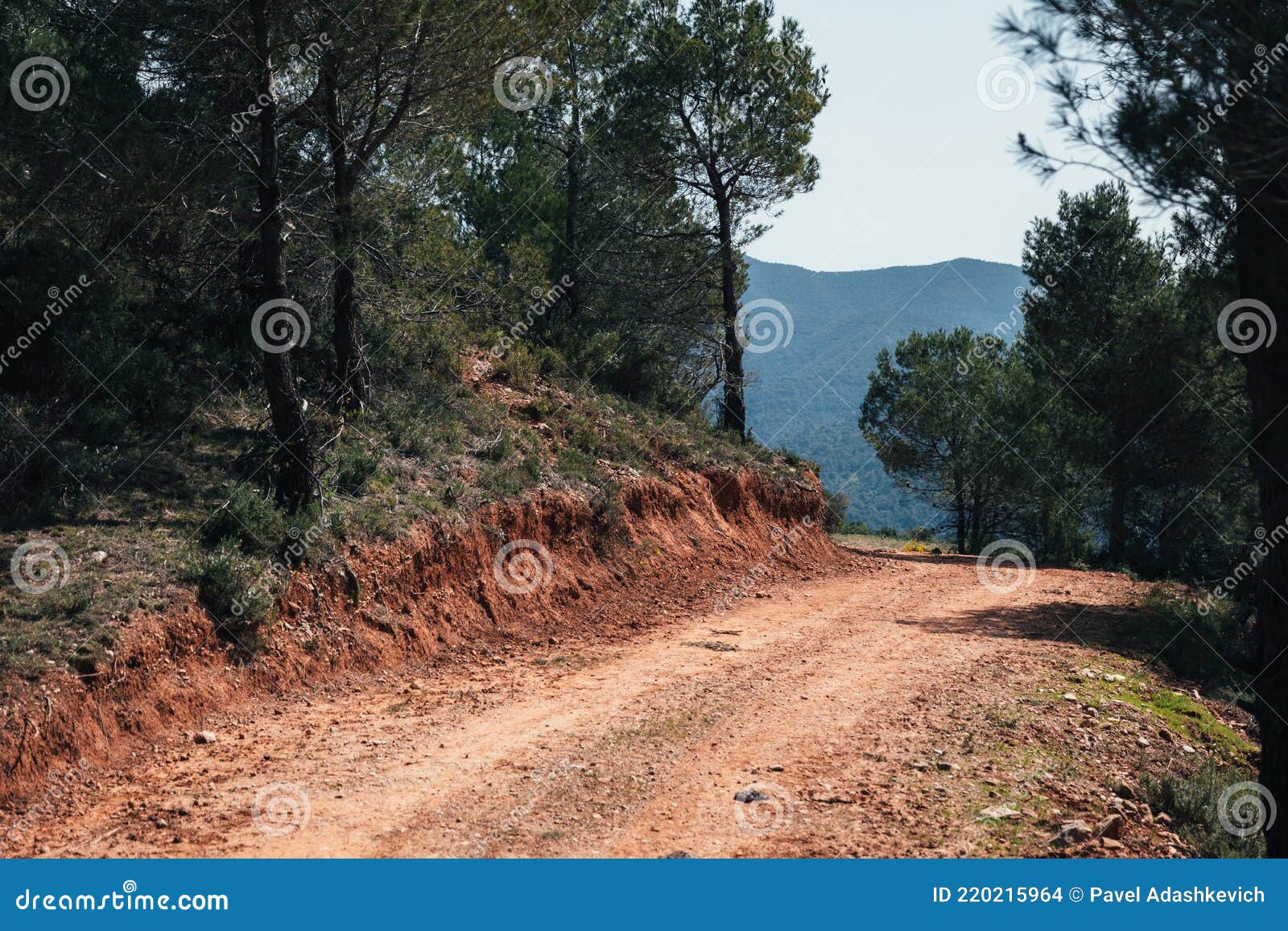 road with turn in forest with view to the mountains of catalunia