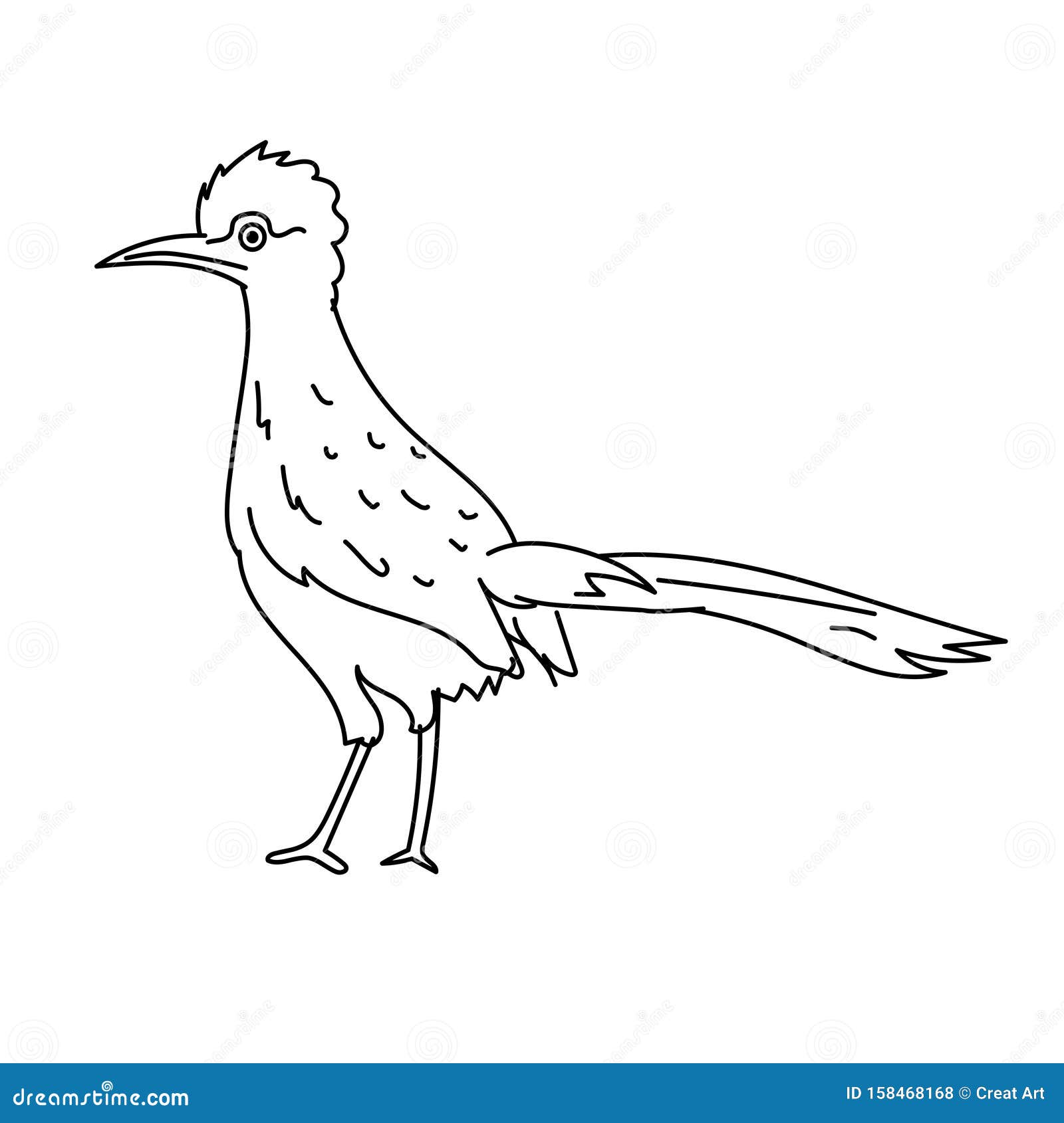 roadrunner bird  .line art bird