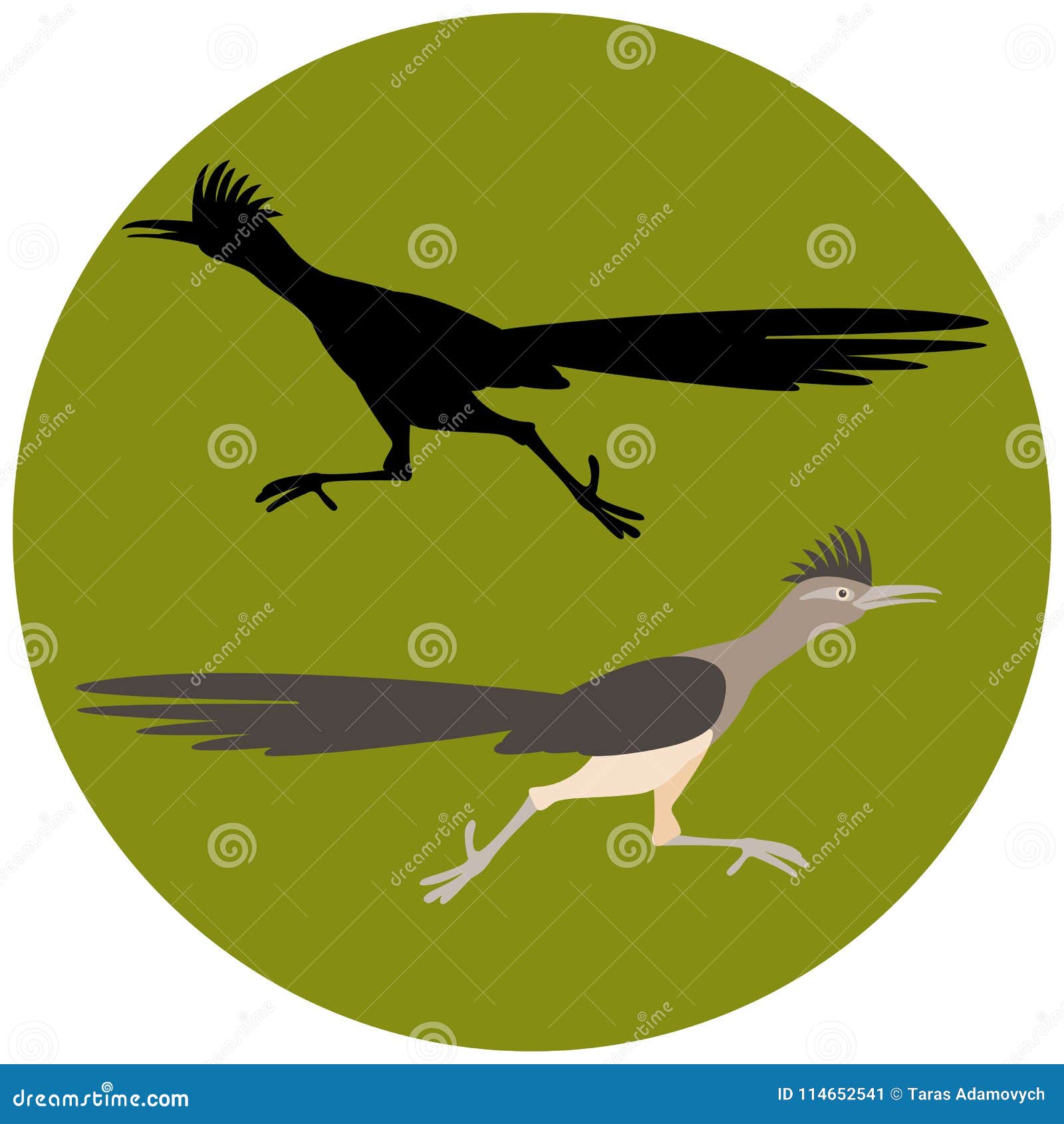 roadrunner bird running   flat style black silhouette