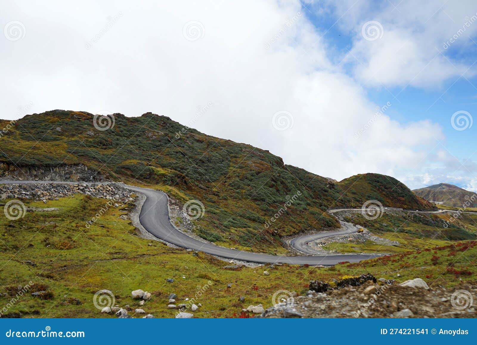 Silent Terror Strikes: The Massive Snake That Bends the Laws of Fear