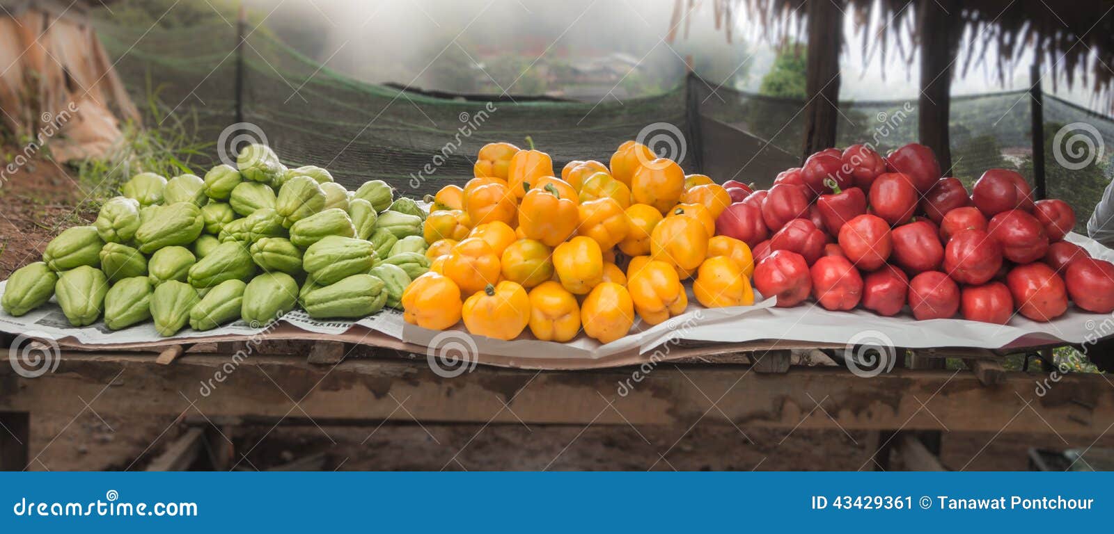 Roadside marketplace in north of Thailand. Red , Yellow bell peppers and Chayote fruit on wood stand