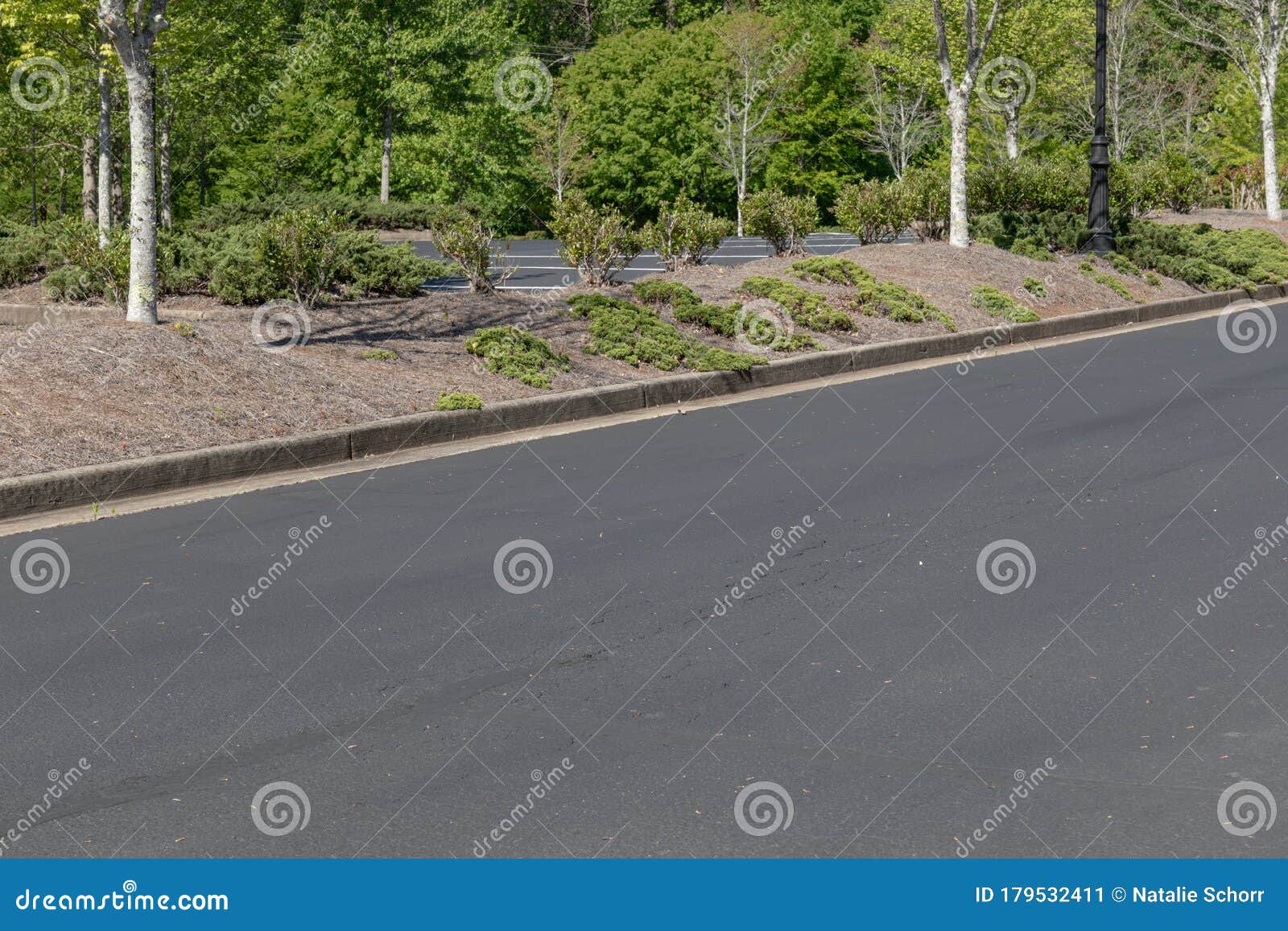 roadway by parking lot, asphalt with formed concrete curb, trees and bushes landscaping
