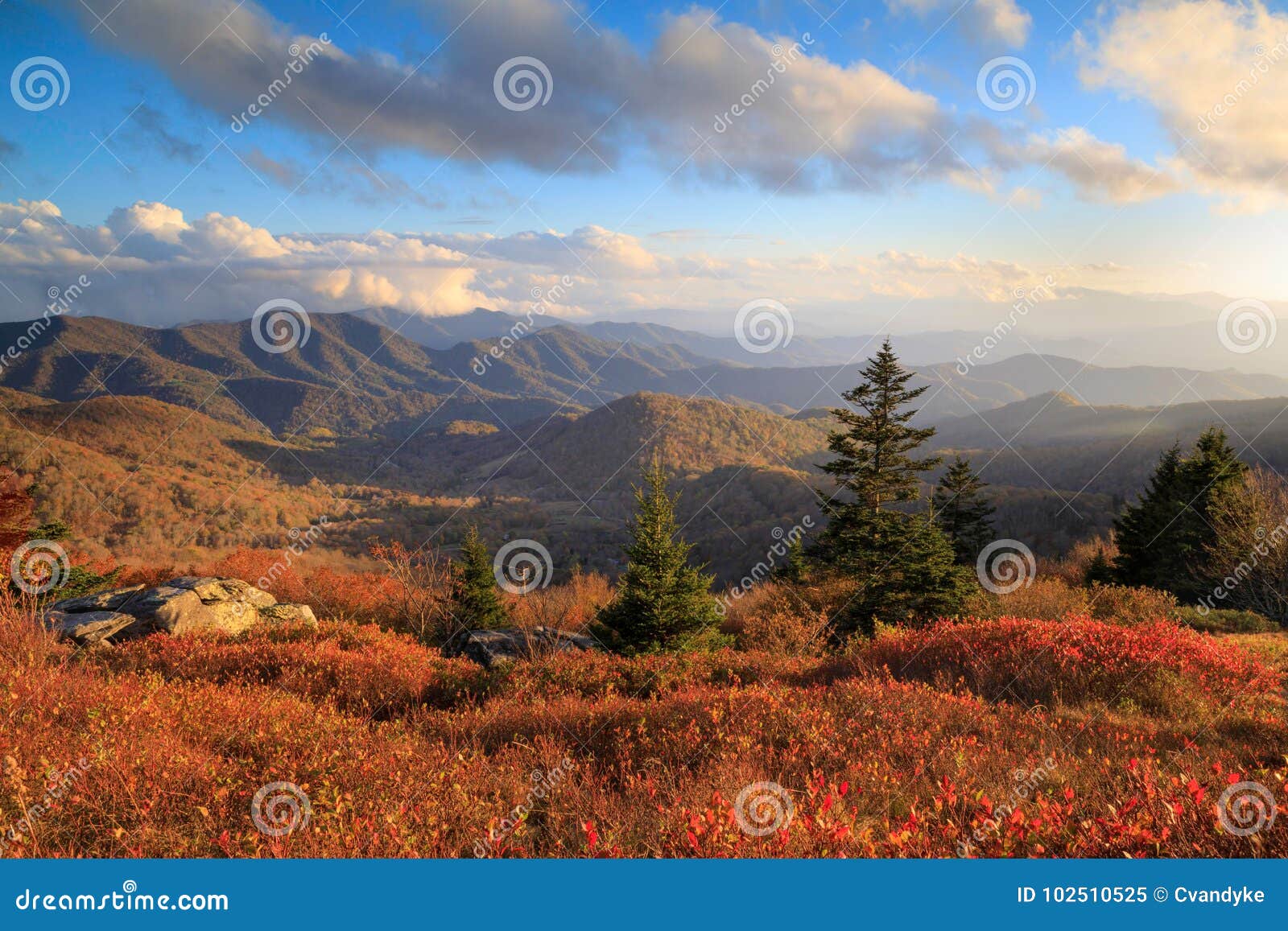 roan mountain nc autumn appalachian trail hike