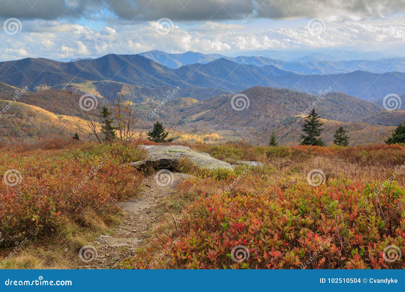 roan mountain nc autumn appalachian trail hike