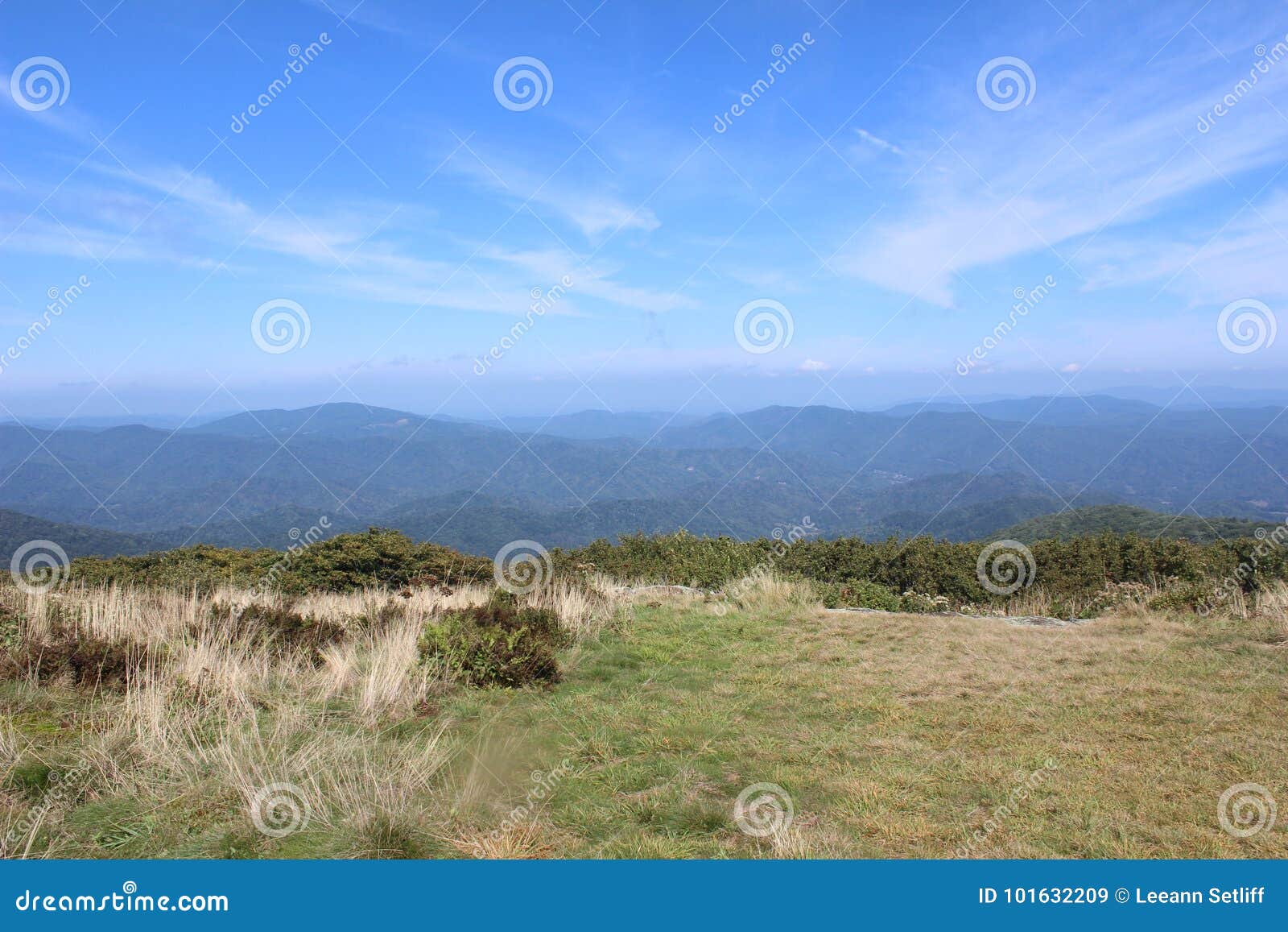 Roan Mountain stock image. Image of summit, mountain 101632209