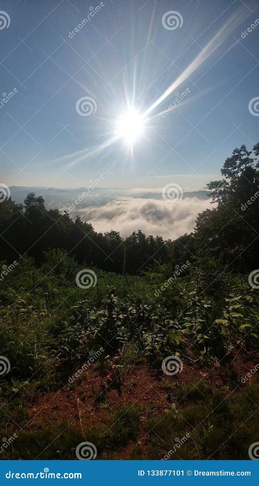 Roanoke Mountain Overlook stock image. Image of overlook 133877101