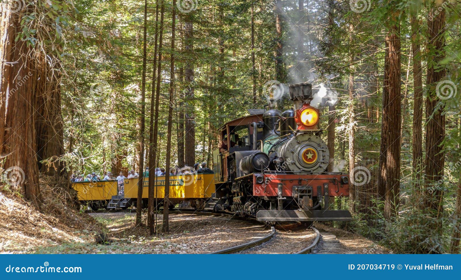 roaring camp` dixiana shay steam train crossing redwoods in santa cruz mountains