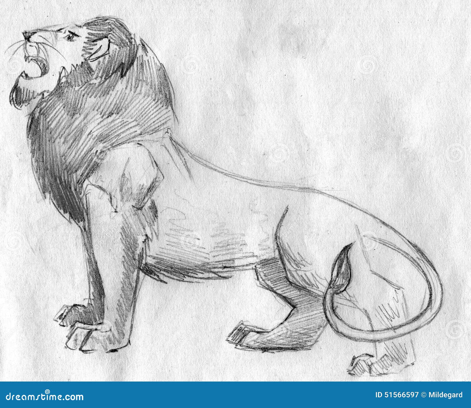 Sketch of lion for kids | Download on Freepik