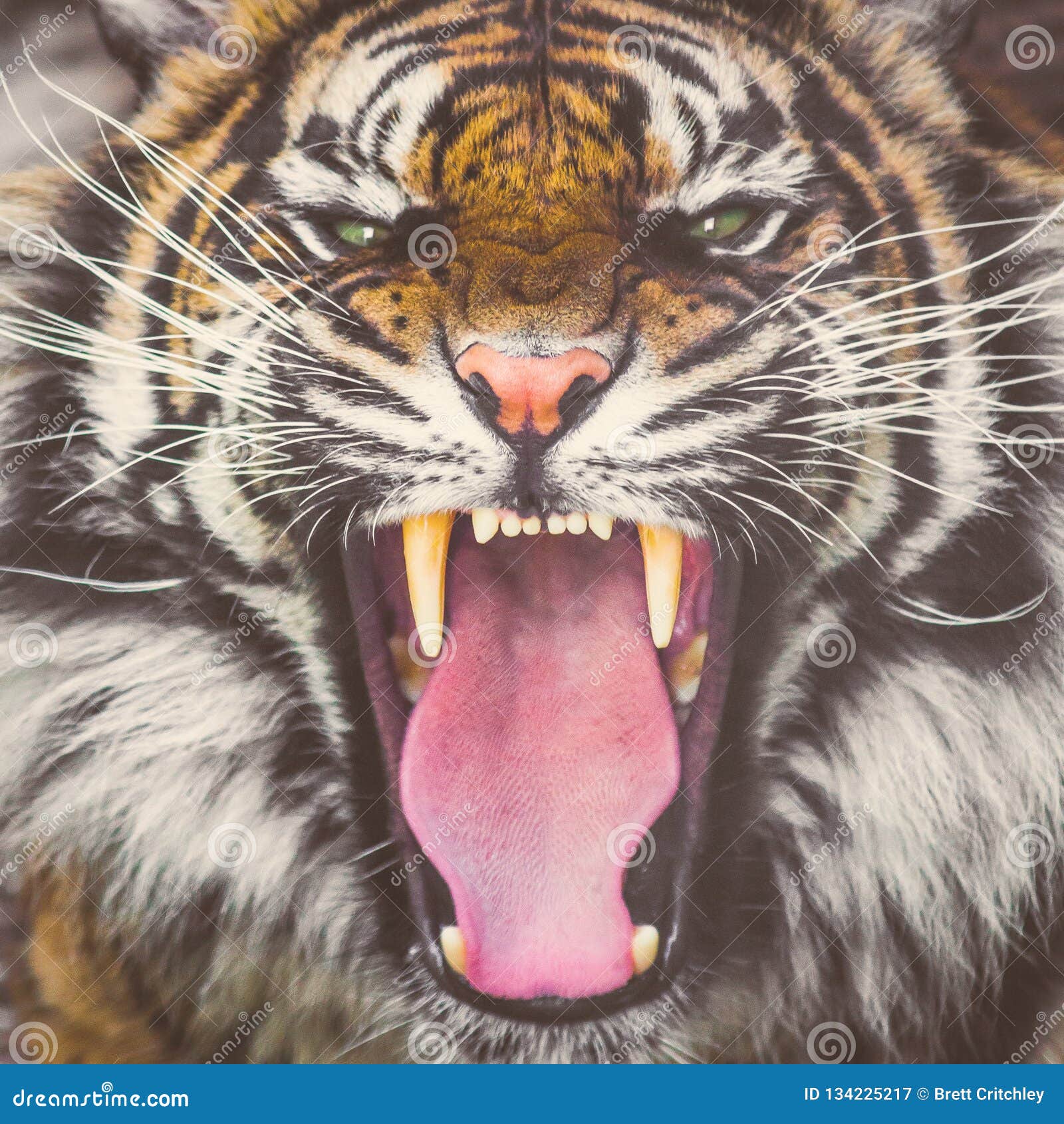 My Image 25