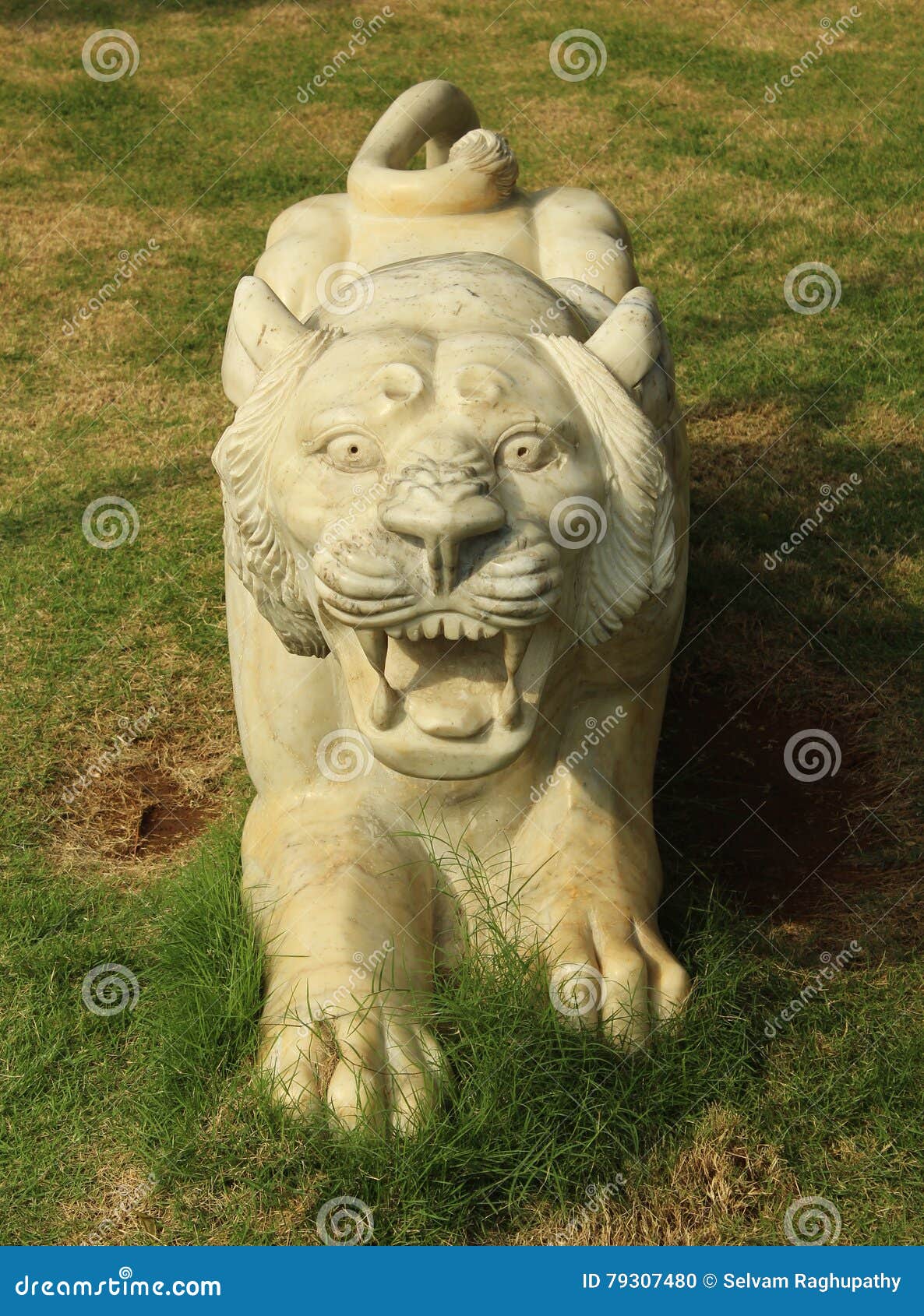 Roaring tiger statue stock photo. Image of mouth, anger 79307480