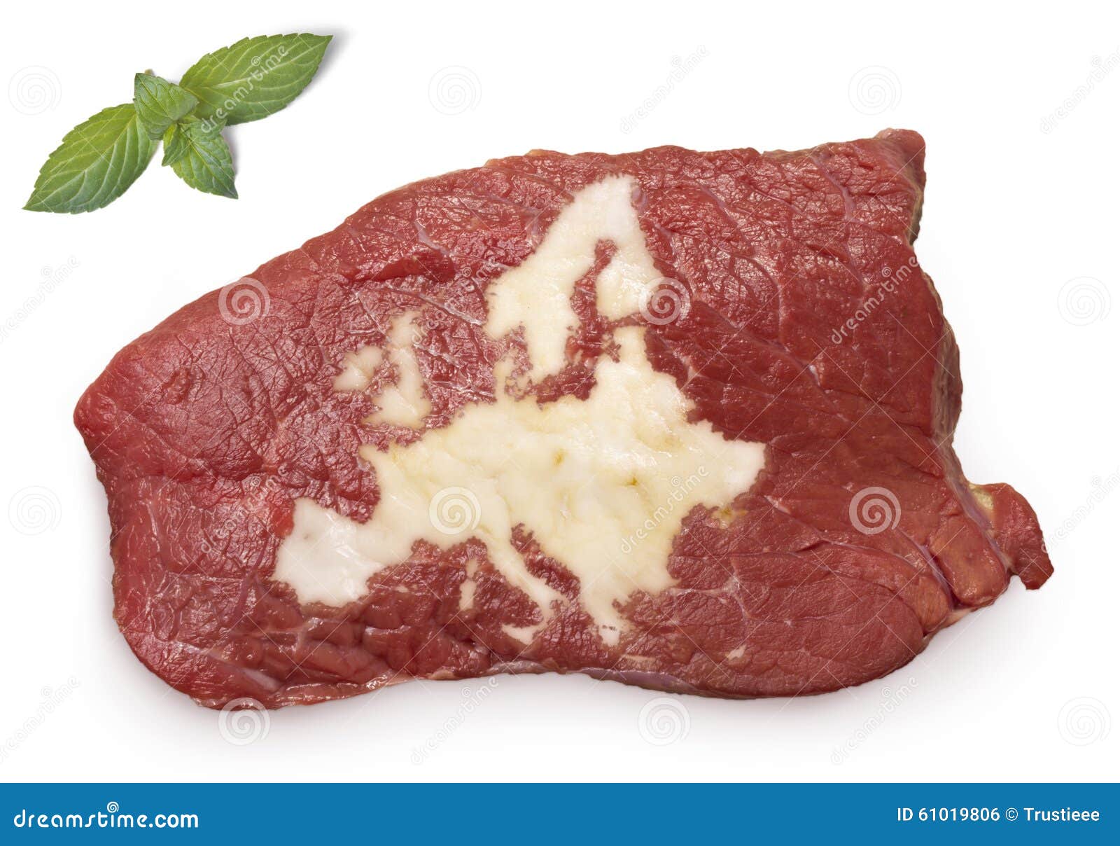 Roast Beef Meat and Fat Shaped As Europe.(series) Stock Photo Image